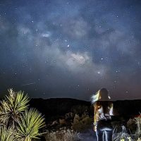 Weddings & Honeymoons