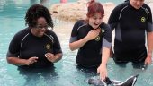 An exceptional experience
