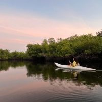 Day Trips & Excursions