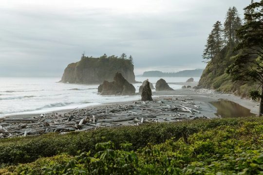 New Year’s Day long weekend in Olympic National Park