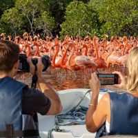 Cruises, Sailing & Water Tours