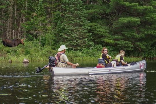 New Year’s Day long weekend in Algonquin Provincial Park