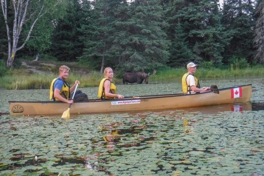 Valentine's Day in Algonquin Provincial Park