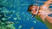 It was like swimming in an aquarium