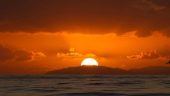 Exciting Cruise, Dolphins, and Stunning Sunset Catalina Views