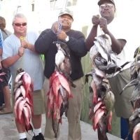 Fishing