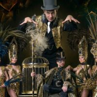 Theater, Shows & Musicals