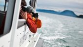 Whales: Tales and Tails!