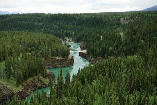 Good Friday in Whitehorse