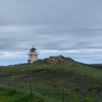 Day Trips & Excursions