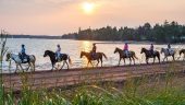 Beautiful Sunset Ride