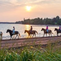 Horseback Riding