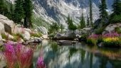 See the Mountains