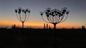 When in Todos Santos Jenni's studio is a must see