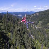 Ziplines